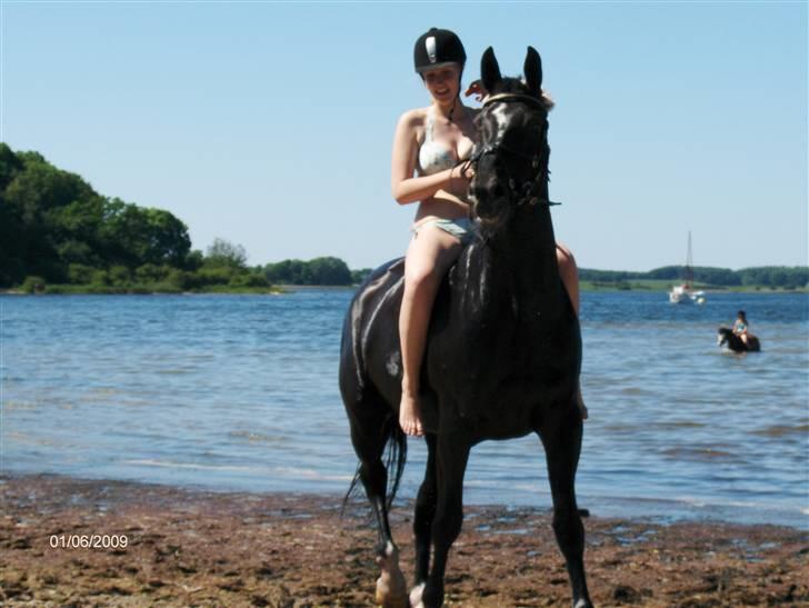 Hollandsk Varmblod Toledo - Smiiiil :D FOTO: Mor eller Far billede 2