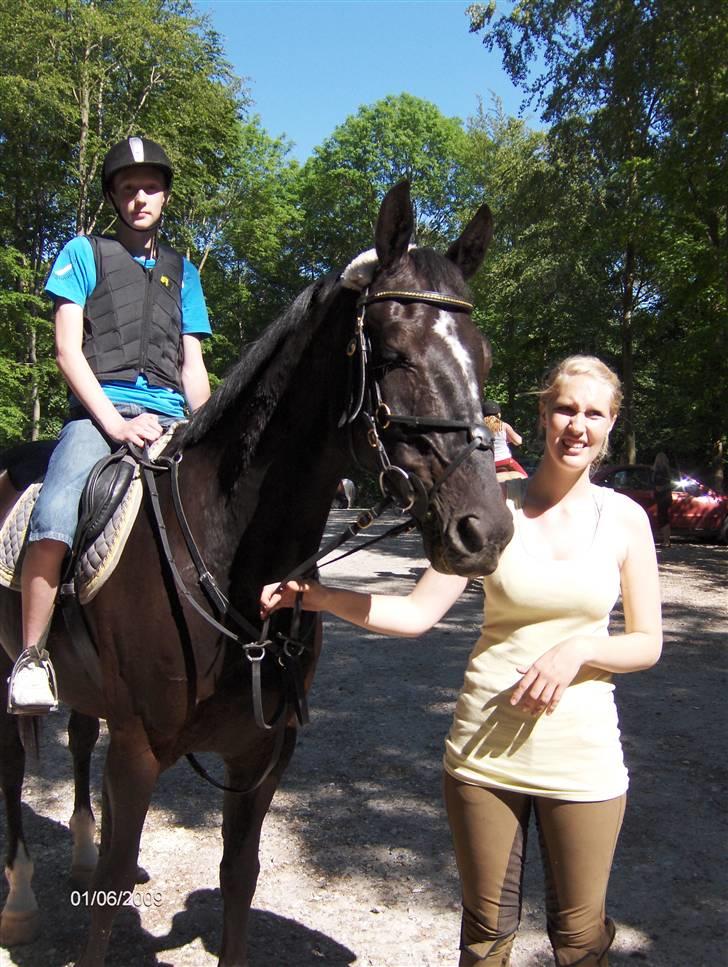 Hollandsk Varmblod Toledo - Lillebror & hesten <3 FOTO: Mor  billede 6