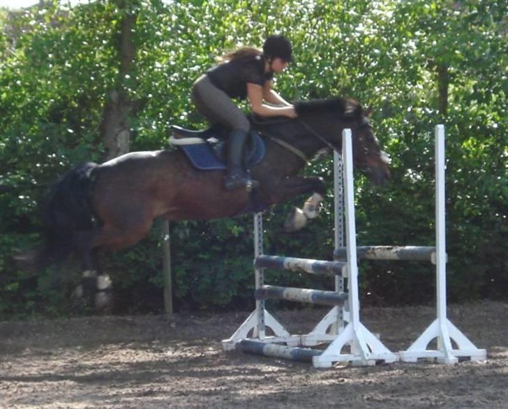 Anden særlig race Lady - ELSKER DIIIIIIIIG<33 billede 16