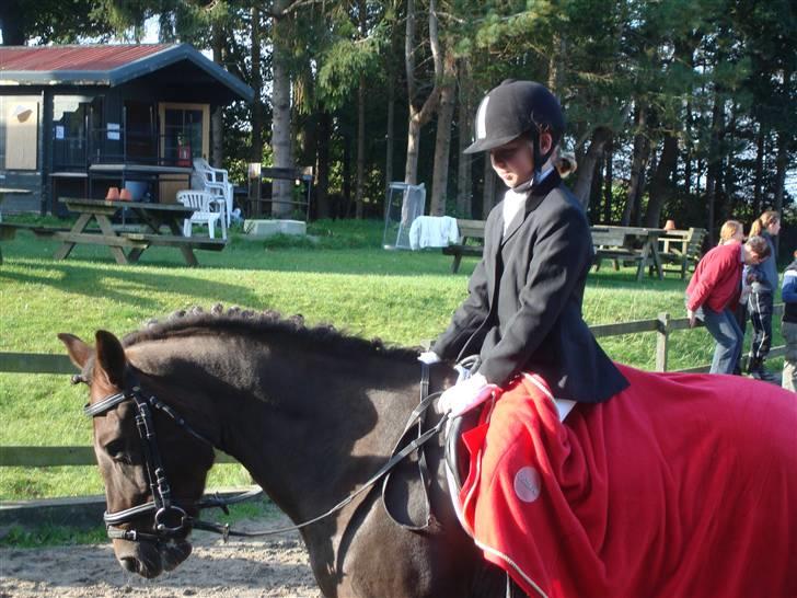 Anden særlig race Bella *SOLGT* billede 1