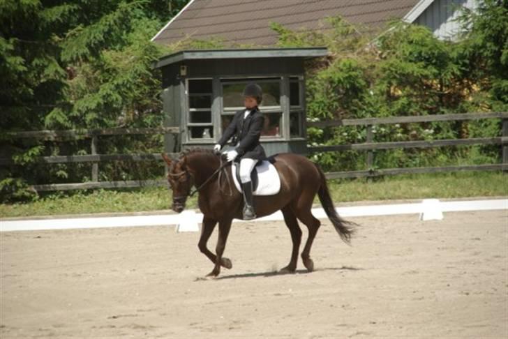 Anden særlig race Bella *SOLGT* billede 3