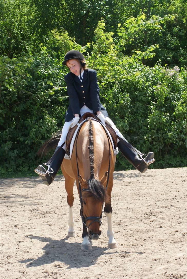 Anden særlig race Holmgaards Jazmin tidl pt - Pinsestævne 2009, tossebillede ? :b billede 7