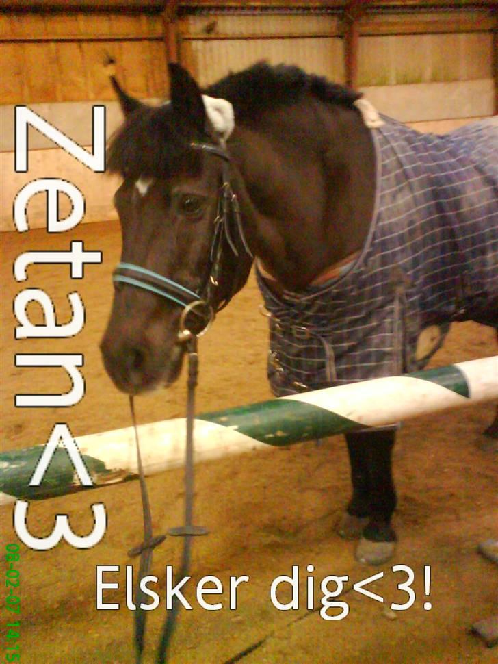 Anden særlig race Zetan *AFLIVET* - smukke skaat!!<3 miig der har taget billedet<3 billede 1