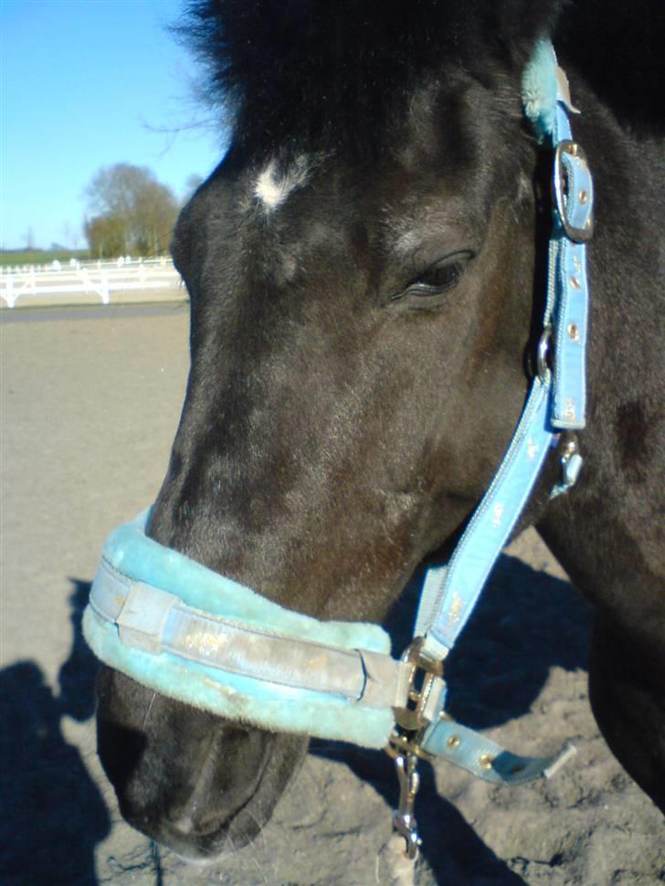 Anden særlig race Zetan *AFLIVET* - trætte mand<3 billede 3