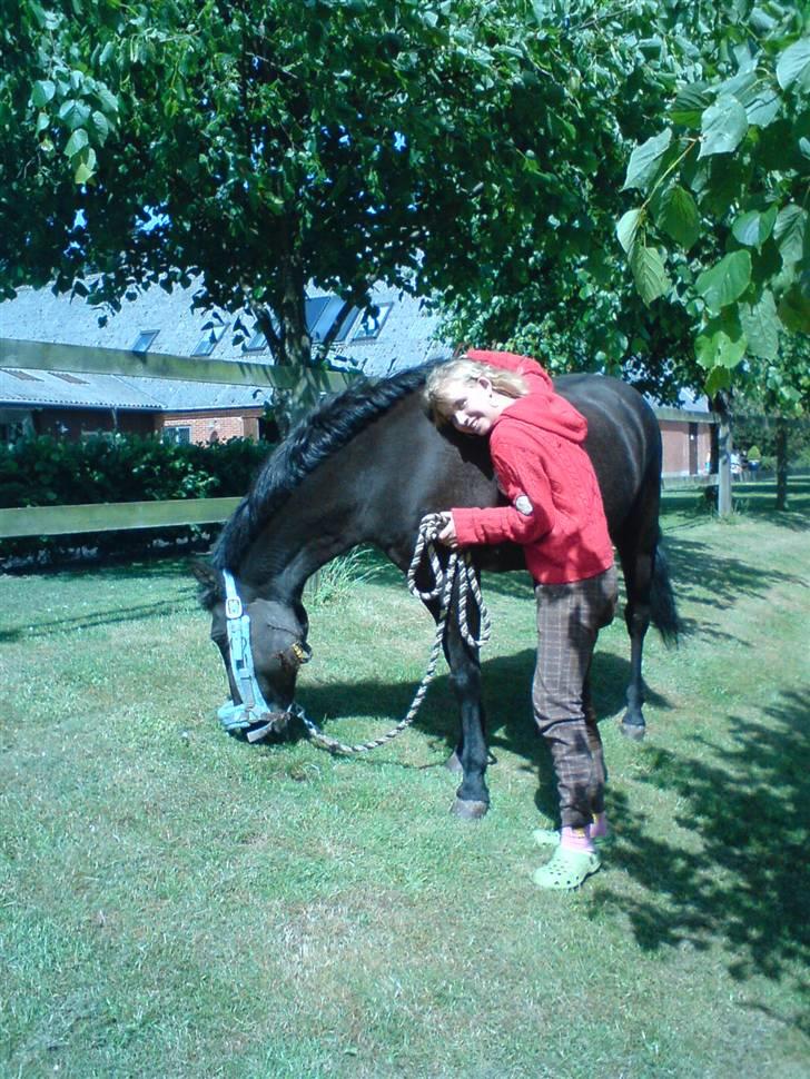 Anden særlig race Zetan *AFLIVET* - græsser lidt den sidste tid :? billede 9