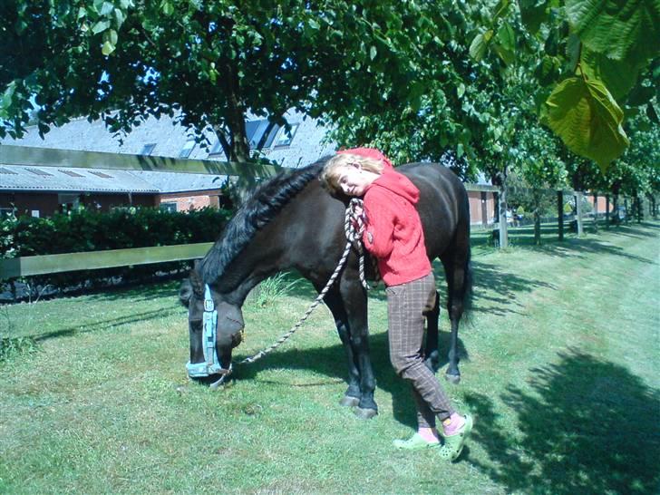 Anden særlig race Zetan *AFLIVET* - græsser lidt den sidste tid :? billede 10