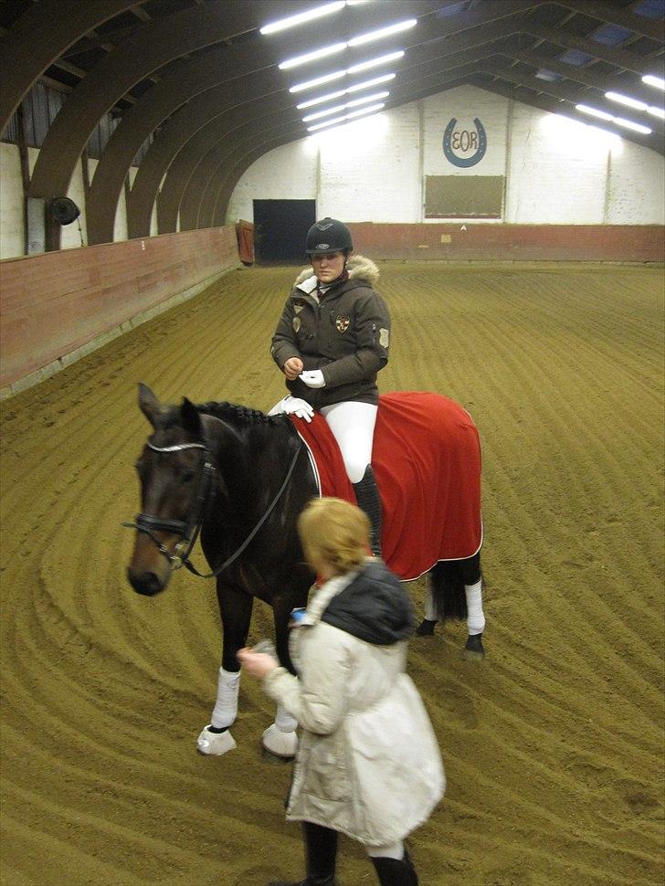 Oldenborg Hestbækvejens First Boi billede 17