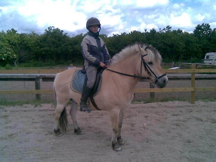 Fjordhest Sebastian  - Sarah og Mig billede 11