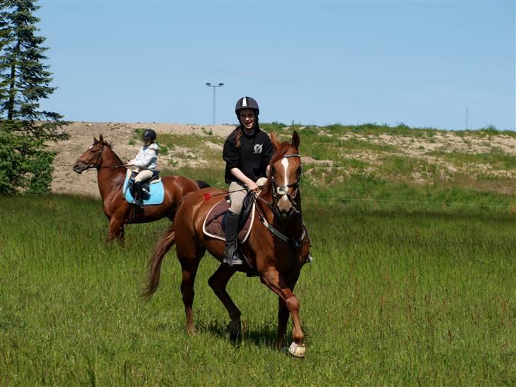 Anden særlig race Magic lady (maggie)passer billede 12