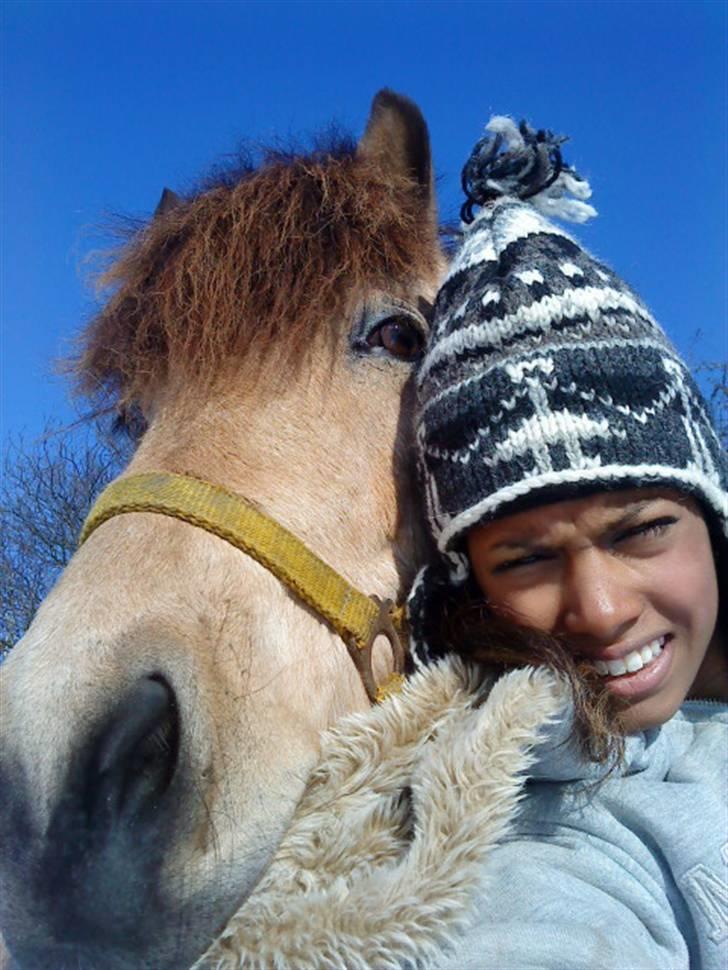 Islænder Glanni fra Enebakken - Charlotte vi skal gå en tur nu :D billede 4