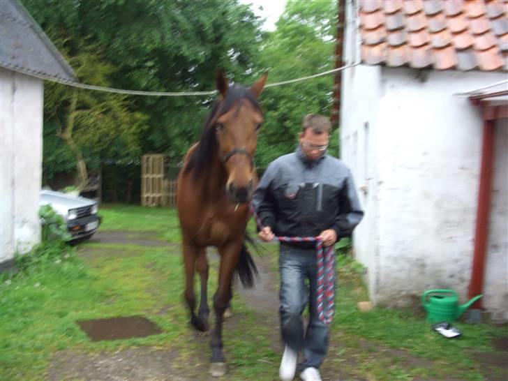 Traver ild i røven - på vej til fold billede 2