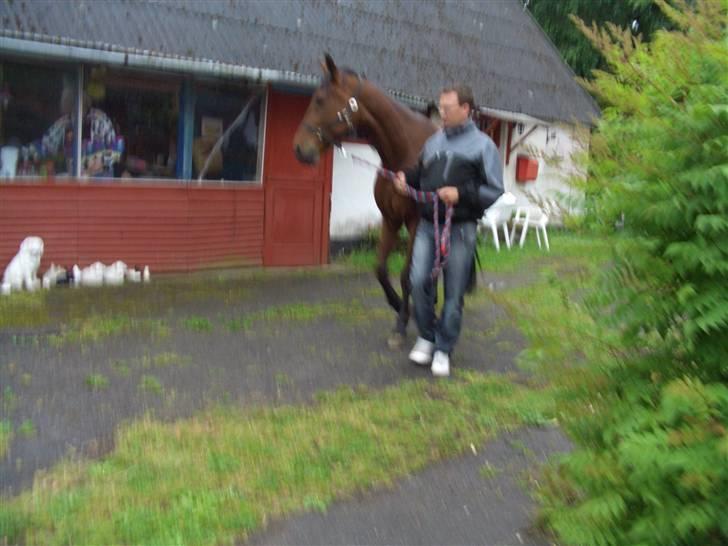 Traver ild i røven - igen på vej til fold billede 3