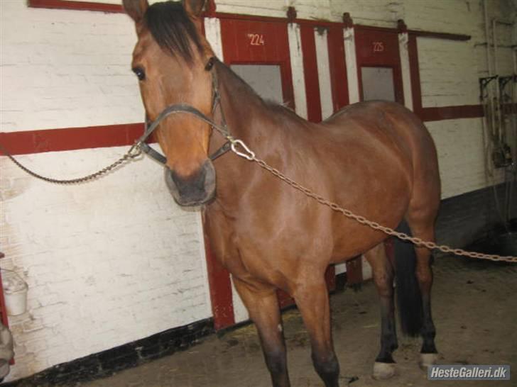 Traver ild i røven - hvad skal jeg nu!!! billede 5