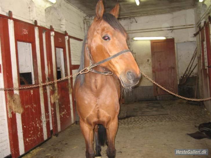 Traver ild i røven - ??? hvad sker der ude billede 8