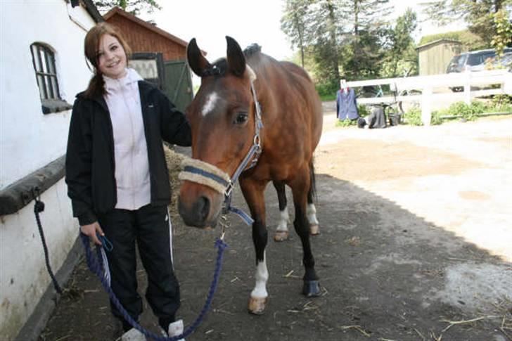 Anden særlig race st. oliver af vsr billede 8