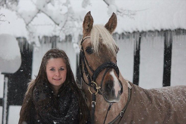 Palomino Selena  - d. 27/11 2010 - I love you!!! Taget af Mie Winding Horsepictures.dk :) <3  billede 10