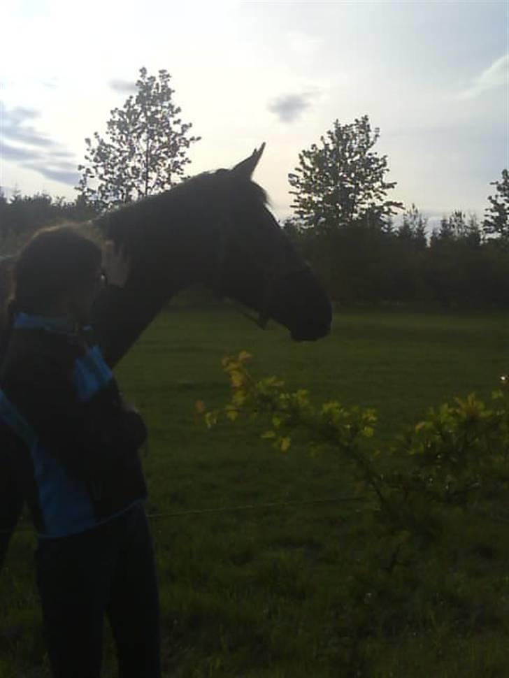 Holstener Carla billede 6