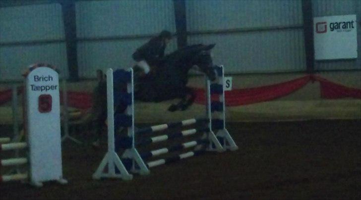 Holstener Carla billede 7