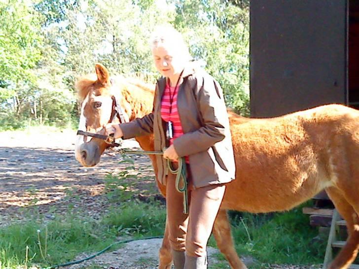 Anden særlig race Emma (R.I.P D':) - Men hun er ikke så god til det. Især ikke når der er græs >< Fotograf: Cille xD billede 9