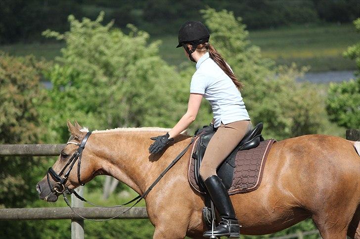 Palomino Selena  - Selena på banen d. 4 August 2010 - Taget af www.horsepictures.dk billede 17