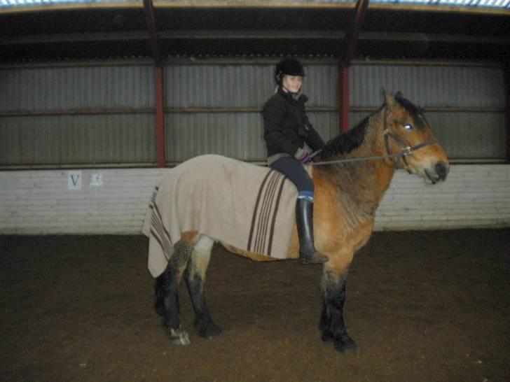 Anden særlig race Rosita ' R.I.P ' <3 :( - kun i grime (:  // taget af camilla billede 2