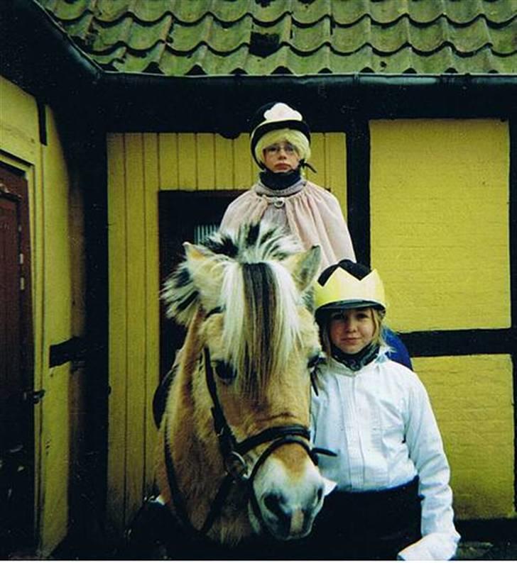 Fjordhest Kasper - Fastelavn . Prins  (Mig) og Prinsesse (Natasja).  billede 5