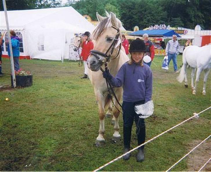 Fjordhest Kasper - Klar til at mønstre - Bregentved stævnet.  billede 7