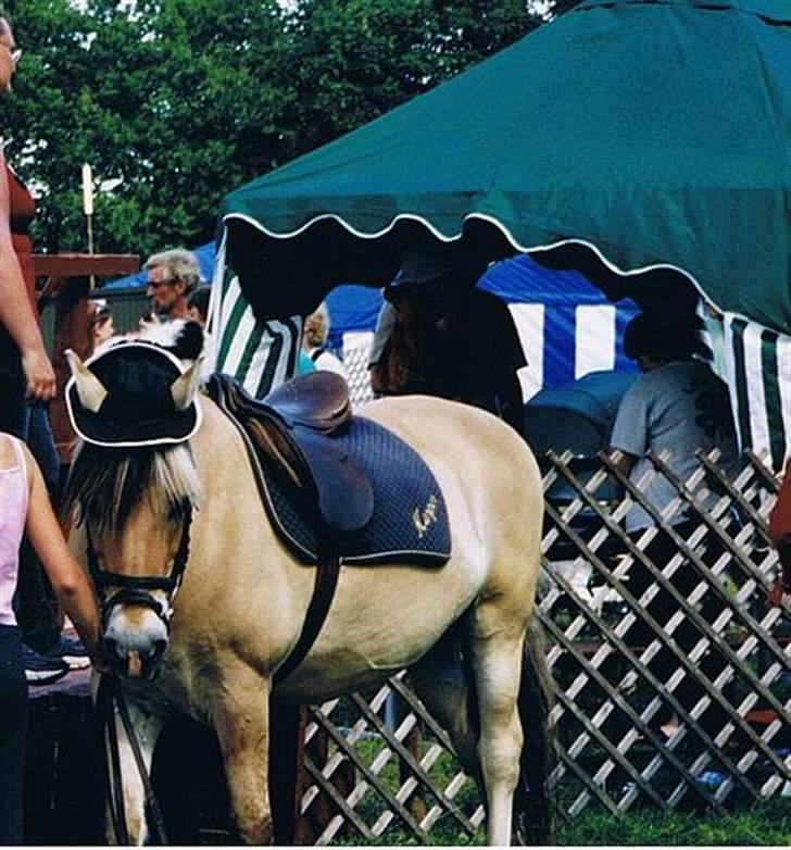 Fjordhest Kasper - Ponytræk på Bregentvedstævnet 4-H billede 8