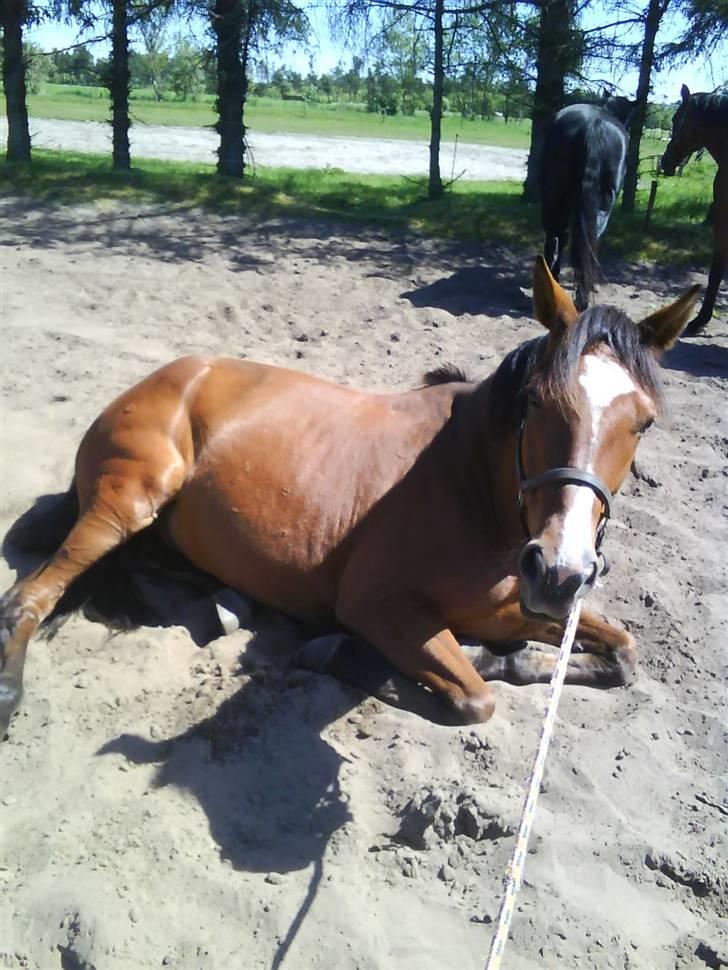 Traver Highlight<3†DØD†savnet:'( - min lille skat putter foto mig billede 5