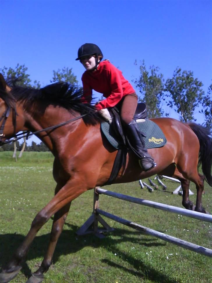 Traver Highlight<3†DØD†savnet:'( billede 6