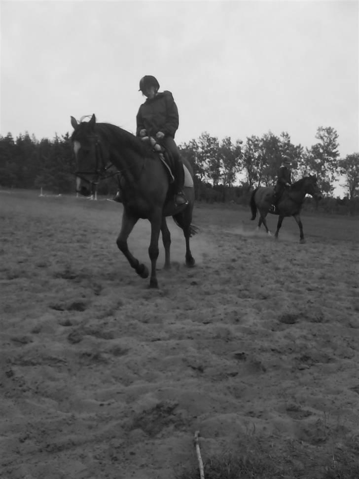 Traver Highlight<3†DØD†savnet:'( billede 7