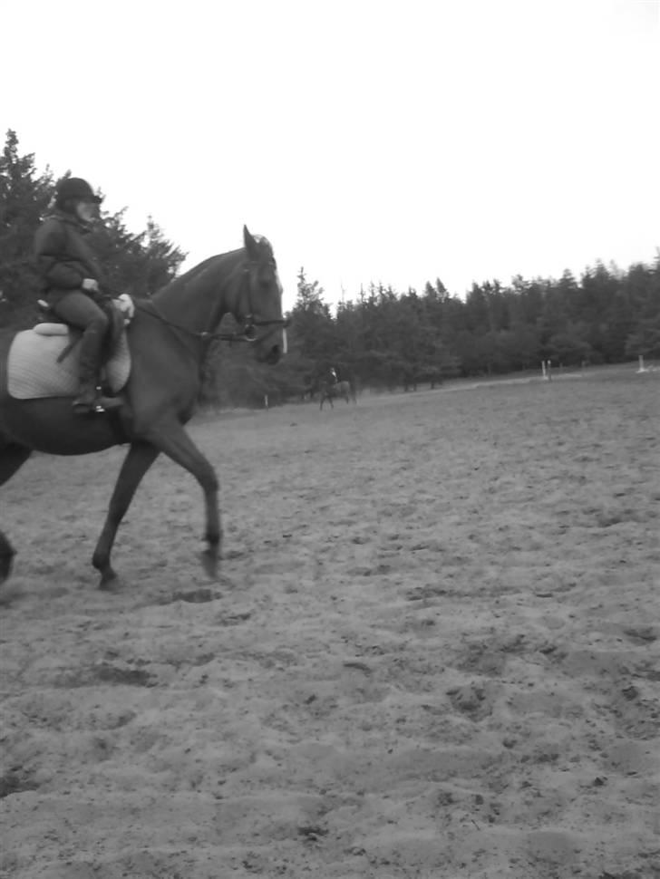 Traver Highlight<3†DØD†savnet:'( billede 8