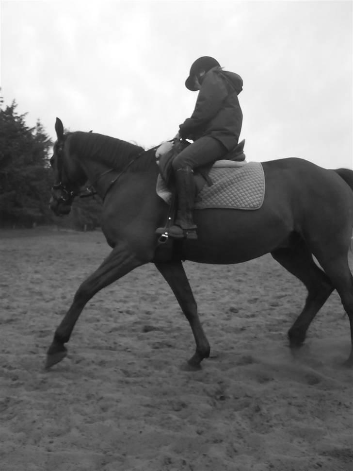 Traver Highlight<3†DØD†savnet:'( billede 9