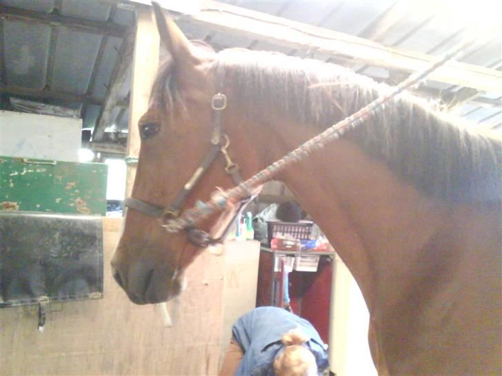 Traver Highlight<3†DØD†savnet:'( billede 10