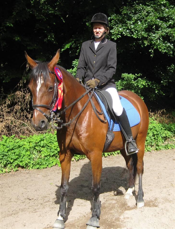 Traver Here To Stay - 7/6-09 Vores allerførste spring roset. Er så glad for den lille tøs billede 14