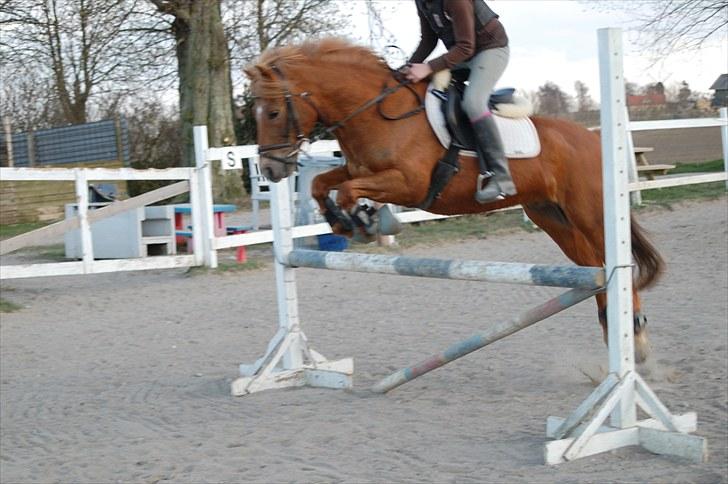 New Forest Casino (Solgt) - Spring der hjemme ;) billede 15