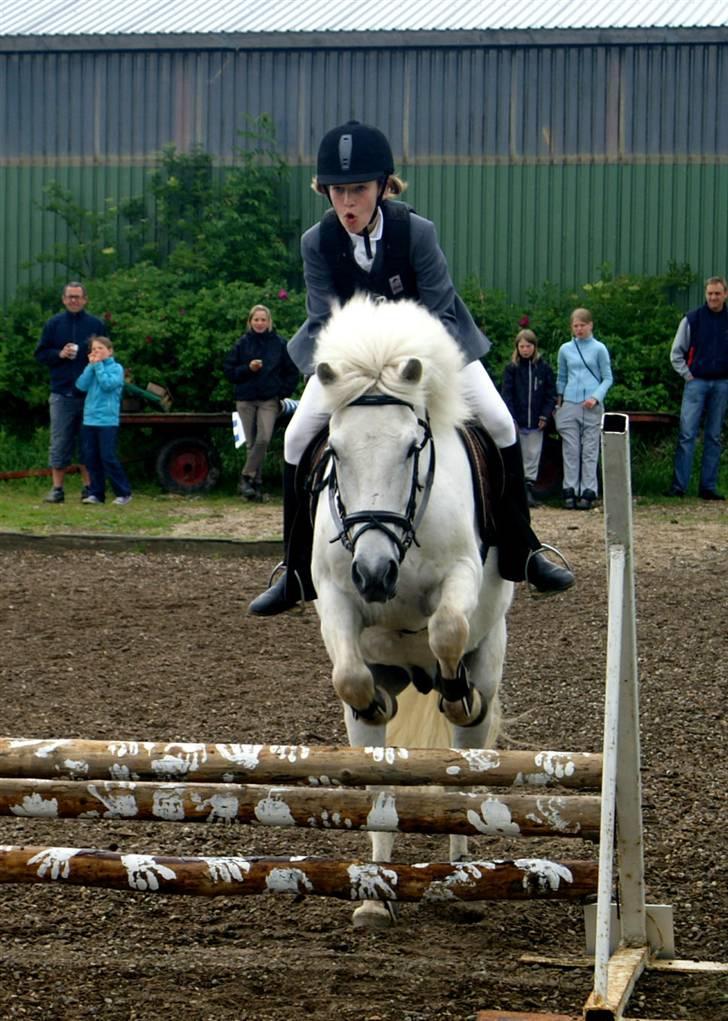 Islænder BLEIKALÁ FRA MALLE - Fordi vi har det godt sammen.. <3 billede 19