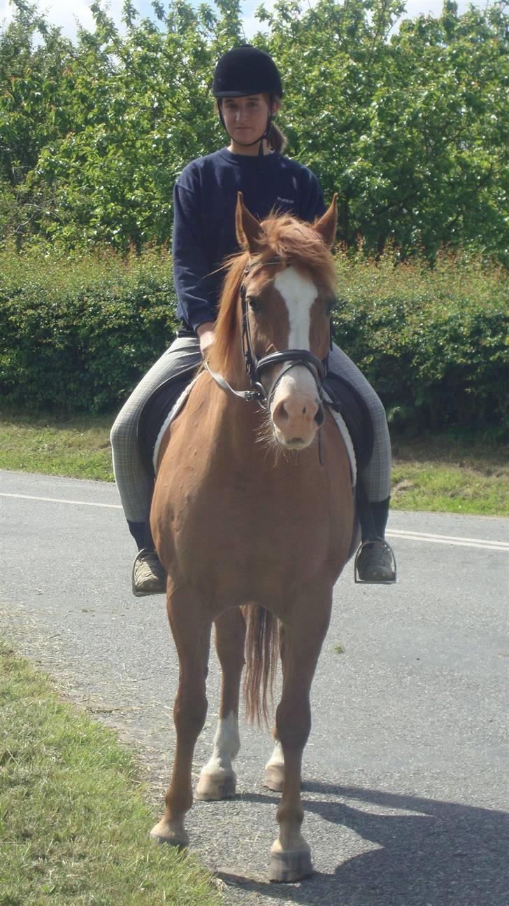 Anden særlig race Ponto *R.I.P* - Ponto :-) .. foto: birgitte Simonsen billede 4