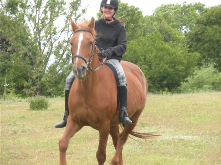 Frederiksborg Signe Lysdal - Taver på folden (ved hjelmen er meget løs, men min mor havde lige haft lånt den, så gad ikke stramme den :p) <3 billede 3