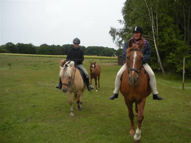 Frederiksborg Signe Lysdal - Heidi (mig) & Clara og Helle & Signe :D <3 OG SELF. NÆRGÅENDE OG PROVOKERENDE FIONA I BAGGRUNDEN XD <33333 billede 4