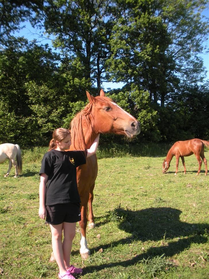 Frederiksborg Signe Lysdal - "Åhh, lige der!" - Signe elsker at blive kløet på halsen, og self. bliver hun forkælet ;´D <33 billede 5
