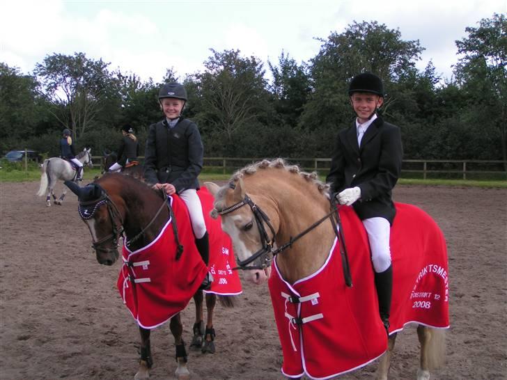 Welsh Cob (sec D) Rytterbjergets Imperial  - Søren og Emilie blev Distriks vinder billede 12