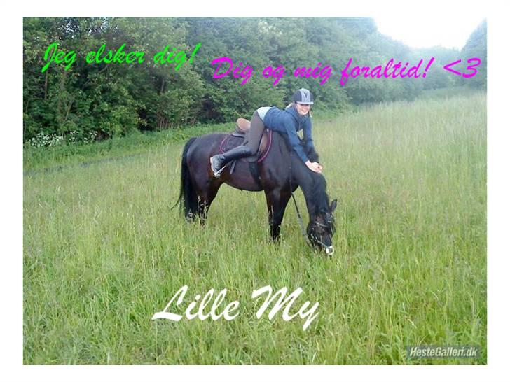 Oldenborg Lille My  - dig og mig foraltid <3 <3 billede 12