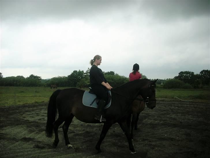 Anden særlig race bianca (R.I.P. I Love Y) billede 7