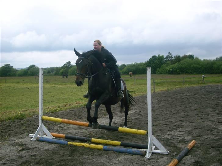 Anden særlig race bianca (R.I.P. I Love Y) billede 8