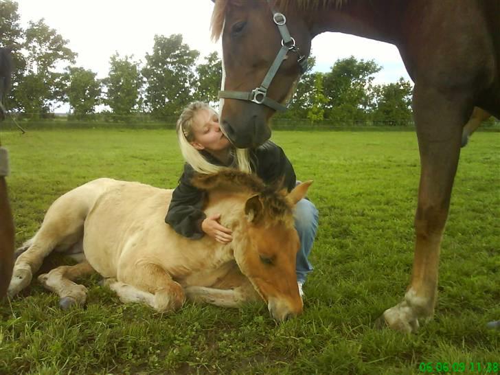 Anden særlig race Mon Chéri *bortgivet* - aflivet 21/5.2025 - mmm nyder vejret min mor og min menneskemor billede 16