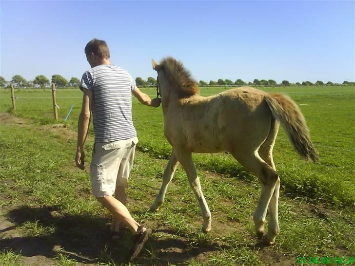 Anden særlig race Mon Chéri *bortgivet* - aflivet 21/5.2025 - Mon´s nye ejer på vej ind og strigle billede 19