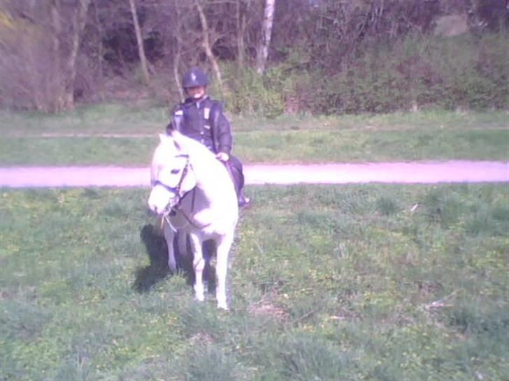 Anden særlig race Konvaljens Flipper  - skoven (: billede 3