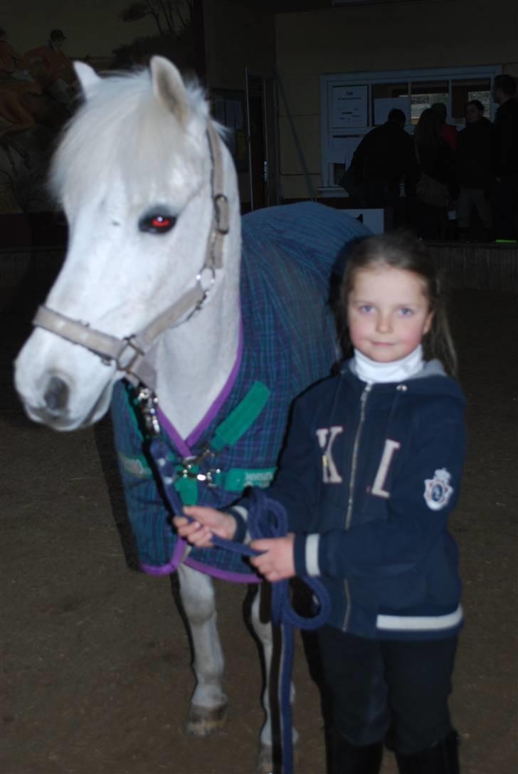 Anden særlig race Konvaljens Flipper  - Da Hanna lige havde fået ham :) billede 4