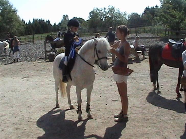 Anden særlig race Konvaljens Flipper  - stævne på HØS 2009 billede 5